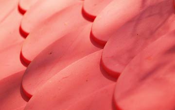 Thorpe Arnold plastic roof costs