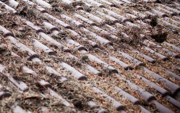 Thorpe Arnold roof cleaning companies